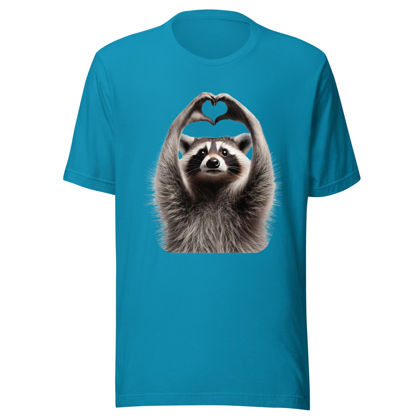 Raccoon Heart Hands